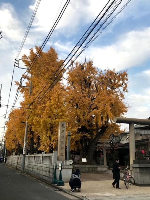 Sky Tree Inn Tokio Exterior foto