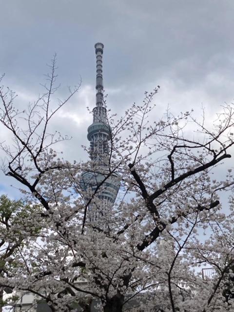 Sky Tree Inn Tokio Exterior foto